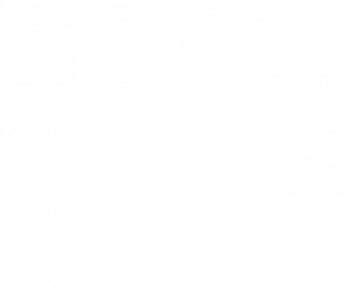 logo_intercoiffure_france_white